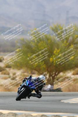 media/Apr-10-2022-SoCal Trackdays (Sun) [[f104b12566]]/Turn 5 Tree of Life (1040am)/